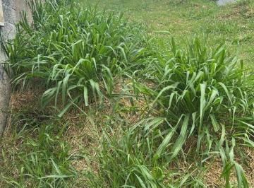 85abdaa6878dec4a49a9a5634b558156041bb51d · Terreno em Santana de Parnaíba, Terreno para venda em Santana de Parnaíba/SP