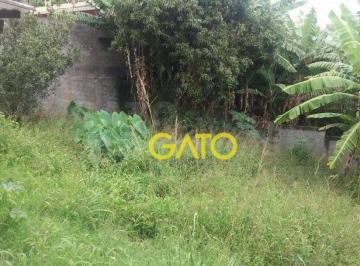 5d32afd784dc72c41ccbe58f754922c462dd65dd · Casa Residencial à venda, Parque Fernão Dias, Santana de Parnaíba - CA0644.
