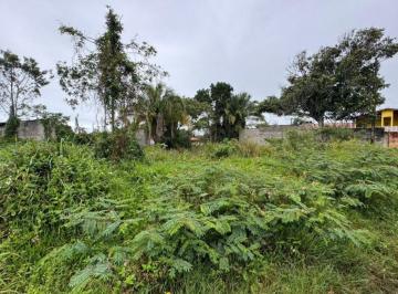 Terreno , Itanhaém · Terreno com escritura em Itanhaém - 100.000,00.