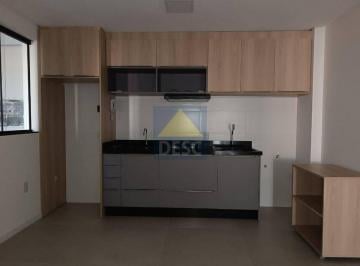 Apartamento · 48m² · 2 Quartos · 1 Vaga · Apartamento em Rio Pequeno, Camboriú/SC de 48m² 2 quartos para locação R$ 2.750,00/mes