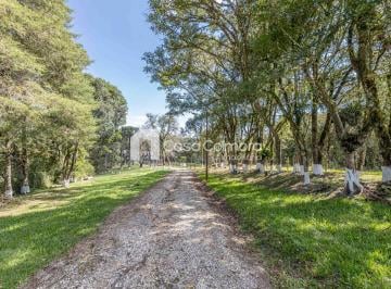 Rural · 33794m² · 4 Quartos · 2 Vagas · Chácara com 3,38 ha e duas residências próximo a á