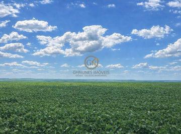 Topografia privilegiada e solo argiloso, garantindo estabilidade e altos índices de produtividade no Oeste Paranaense. · Fazenda no Oeste Paranaense | 1.707 Alq | Alta Produtividade