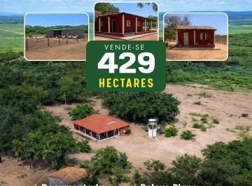 Rural , Cristino Castro · Fazenda 429 ha | Poço 70 mil L/h | Próx. BR-135 | Documentada