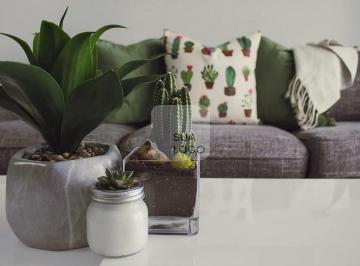 designecologist-csvpdj60e1a-unsplash1754936311527.jpg · Casa para locação, Cinco Conjuntos, Londrina, PR