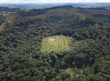 36502058_g.jpg ·
Terreno à venda em Bom Jardim da Serra