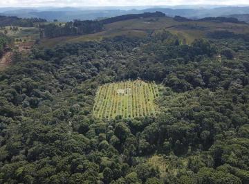 Terreno · 7m² · Terreno à venda em Bom Jardim da Serra