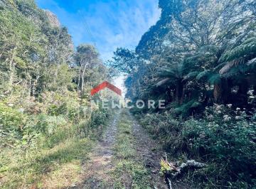 Terreno · 750m² · Lote em Rua 10 - Colinas - São Francisco de Paula/RS