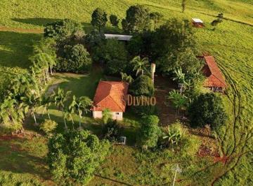 00561e73789e425944f1bdf99b0257e96ae1350a · Sítio Produtivo de 12 Alqueires em Itapetininga/SP – Porteira Fechada