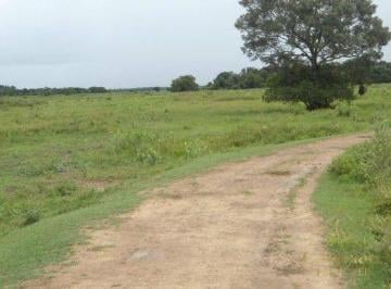 91fc1455b3ecdd3bd296d10aa9b32eecc03e28f7 · Fazenda à venda, 8794507850000 m² por R$ 250.000.000 - Centro - Poconé/MT