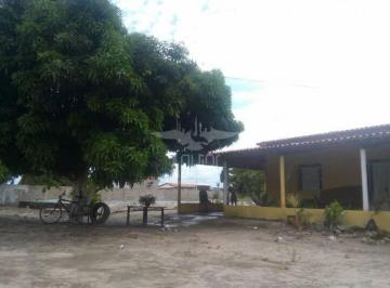 Imagem 2 · Sítio
