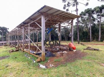 Imagem 1 · Fazenda para venda em Morro Alto, Guarapuava