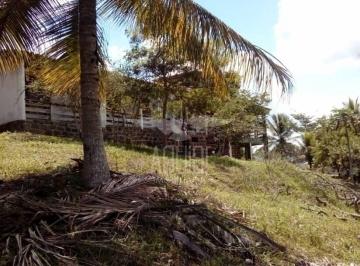 Imagem 1 · Fazenda