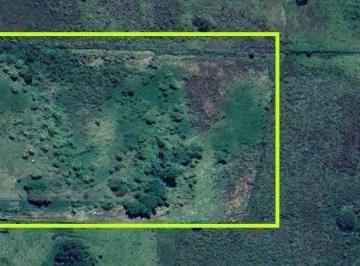 Imagem 1 · Prédio Inteiro para venda e aluguel em Jardim Alegre, Três C