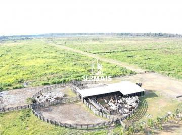 Imagem 1 · Fazenda