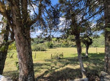 Foto 02 · Sitio, 12 Hectares - Ótima Localização - Oportunidade, Sarapuí, SP