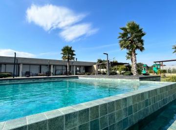 Piscina externa Adulto · Condomínio Marina Del Faro: Clube Lagoa à beira da Serra do Mar