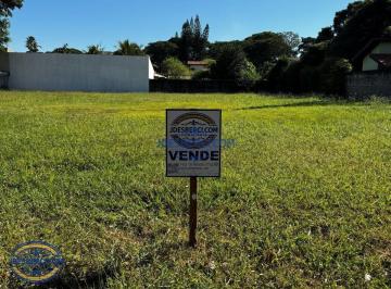 JDE472_01 · Terreno à venda - em Holambra