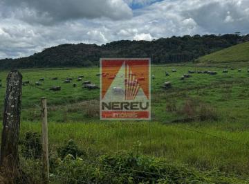 Rural · 186000m² · FAZENDA COMPLETA À VENDA – EXCELENTE PARA PECUÁRIA E PRODUÇÃO
