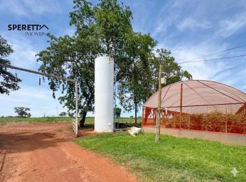 Foto 22 · Sítio à Venda em Itápolis SP 48.400m² com Tanques de Peixe Estufas Irrigadas 2 Casas Poço Artesiano