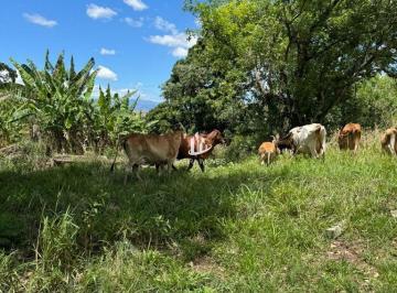 nzl9cq2ote1zwi2mzkxmjjk_md · Terreno à Venda em Itatiaia, Itatiaia - RJ