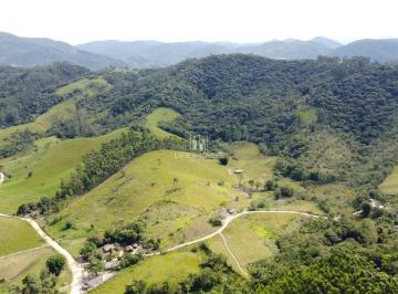 Rural · 10000m² · Área Rural com 1 Hectare em Região Alta | Eucaliptos e Água no Local