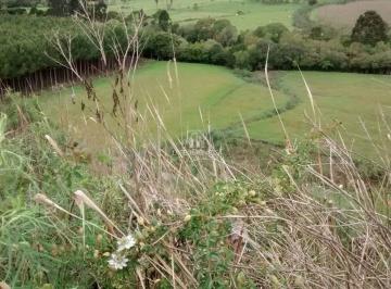 Foto 01 · Área 12,8 hectares à venda em Bom Retiro/SC na Serra Catarinense com escritura