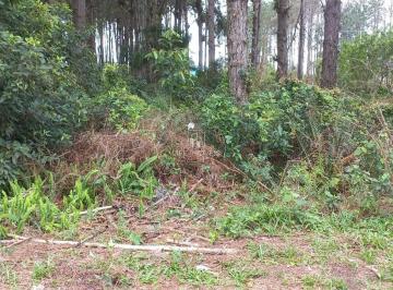 Foto 01 · Terreno 265m² à venda em Garopaba/SC no Ambrósio com escritura e financiamento