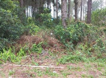 Foto 01 · Terreno 265m² à venda em Garopaba/SC no Ambrósio com escritura e financiamento