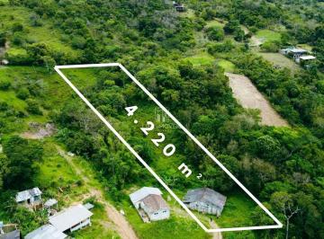 Foto 15 · Terreno 4.220m² à venda em Garopaba com vista para o mar e lagoa