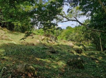 Foto 01 · Terreno à Venda em Garopaba no Macacu – 3.367 m² em Meio à Natureza com Potencial de Investimento