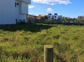 Foto 01 · Terreno 325m² à venda em Garopaba/SC no bairro Ferraz com escritura