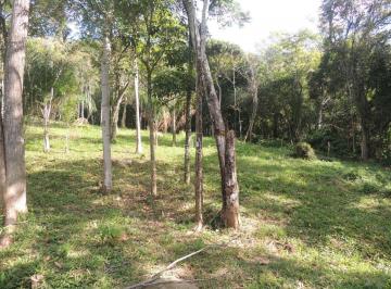 Foto 12 · Terreno à Venda em Garopaba no Macacu – 20.000 m² com Vista para Lagoa, Mar e Cachoeira