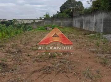 bwhqtj3rmjbm1769630530131.jpg · Imoveis - no Jardim Santa Maria