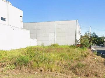 g1_10446_116007_1047_060526.jpg · LOTE PLANO COM 400M² PARA VENDA