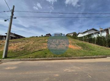 164112819725e6508cc25afdb1554192431ea404 · Terreno a venda em Pinhalzinho