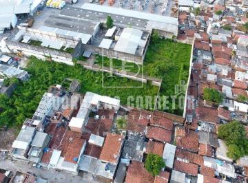 Terreno · 7000m² · Térreno na Madalena | 7.000M², Avenida Principal, Ideal para Investimento.