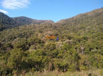 vogrgc2ntmxmwjmytrkmtcz_md · Sítio 27 hectares com riacho, ótimo acesso, energia elétrica - Anitápolis