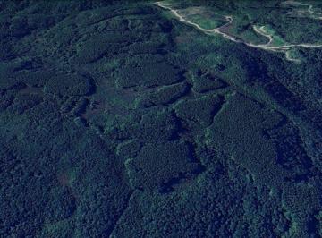 6fbjgi82ntmwnwzhnzgxowex_md · Fazenda com Reflorestamento e Pecuária em Rancho Queimado