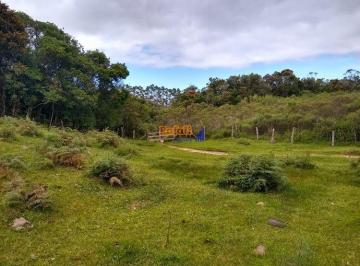 vln8zhe2ntmxmtk2mtjjmwm4_md · Sítio 12 Hectares com Área de Pasto, água e riacho - Anitápolis SC