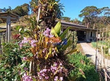 fjq6sdk2ogm3mwqyzdlkoty3_md · Venda Sítio com casa, água, pomar e vista em Santa Isabel- Águas Mornas