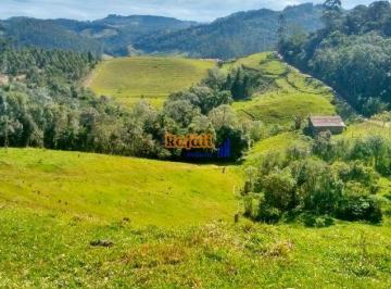 9spfz602nmyyyjjkmjezzgnl_md · Sítio terreno com pasto, linda vista, nascente de água, em Anitápolis- SC