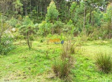 d4hpq182nzu5zju0yjiyzjq1_md · Sítio, Terreno  Rural  em Anitapolis 75 Hectares, com nascentes e natureza..