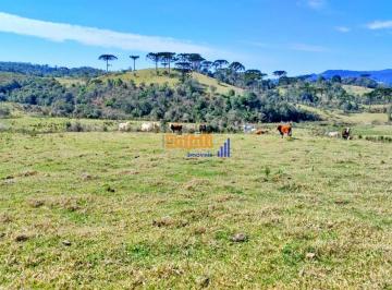 xc3cvfu2nmzkywmymjk5mjm0_md · Sítio com pasto, linda vista, reservado em rancho queimado- SC
