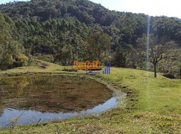 89tdlr02ntu1zwm1mtc5mwuz_md · Venda Sítio 20 hectares com Casa, riachos com pastagem São Bonifácio