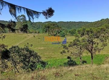 57aayz02nji5mgm2mzvmzthi_md · Propriedade, Terreno Rural em Marjor Gercino, casa galpão 50 ha de pastagem
