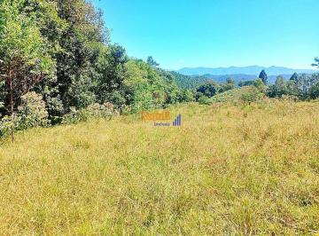 ggt0fuo2owrlmjjhmtlhymi4_md · Sítio 2 Hectares, ótimo acesso, vista, sinal de celular e internet Anitápolis