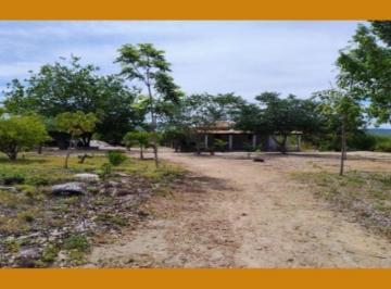 Rural · IMÓVEL RURAL DENOMINADO UMBURANAS, ENCRAVADO NA PROPRIEDADEITAPURU, LOCALIZADO NO 2º DISTRITO DO MUN