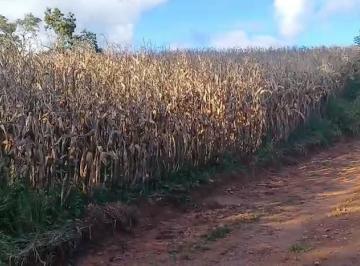 Imagem 1 · Fazenda