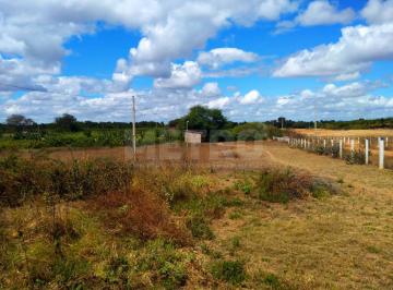 Imagem 1 · Fazenda