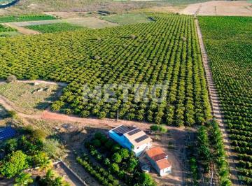 Imagem 1 · Fazenda para venda em Centro, Sobradinho